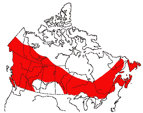 Map of Olive-sided Flycatcher in Canada