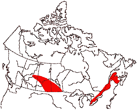 Map of Black-crowned Night Heron in Canada