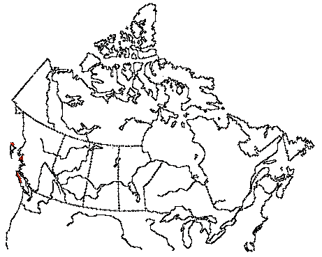 Map of Fork-tailed Storm-Petrel in Canada