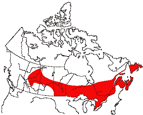 Map of Mourning Warbler in Canada