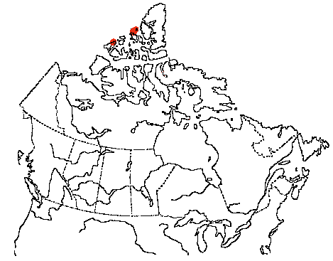 Map of Ivory Gull in Canada