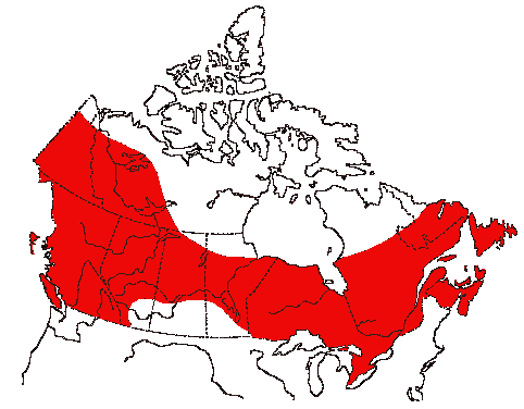Map of Osprey in Canada