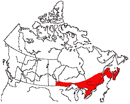 Map of Northern Parula in Canada