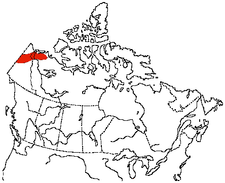 Map of Siberian Tit in Canada