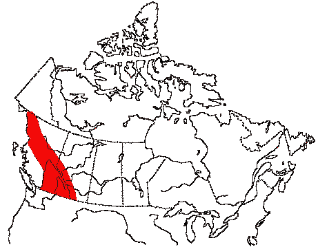 Map of Mountain Chickadee in Canada