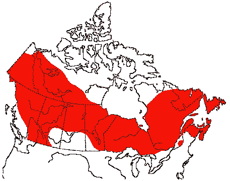 Map of Boreal Chickadee in Canada