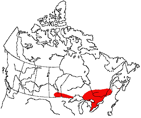 Map of Indigo Bunting in Canada