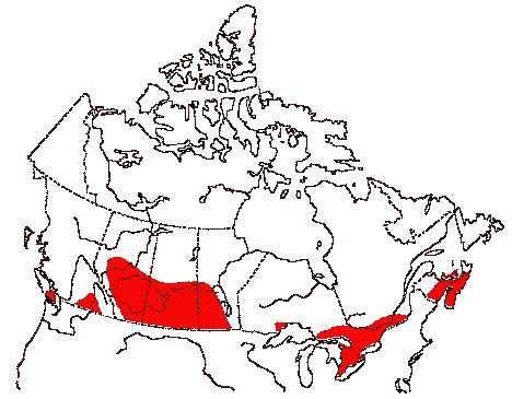 Map of Gray/European/Hungarian Partridge in Canada