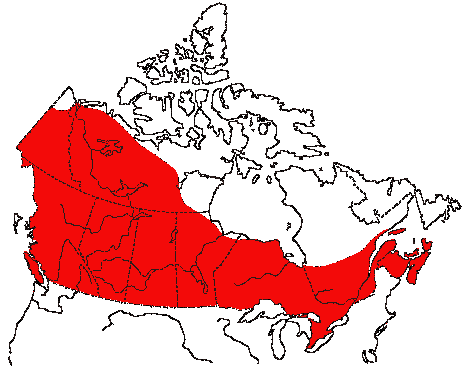 Map of Cliff Swallow in Canada