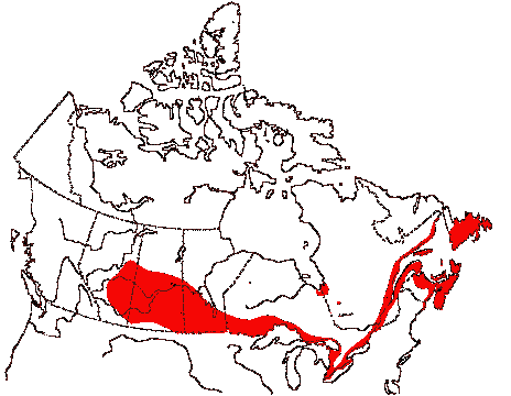Map of Double-crested Cormorant in Canada