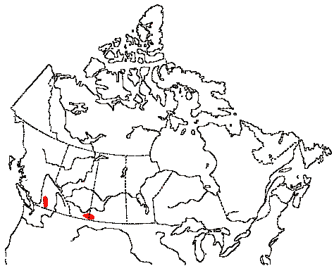 Map of Common Poorwill in Canada
