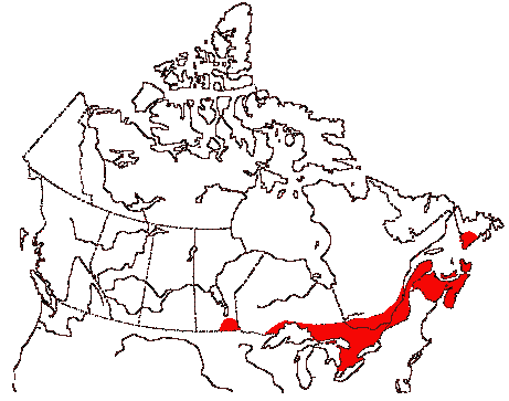 Map of American Woodcock in Canada