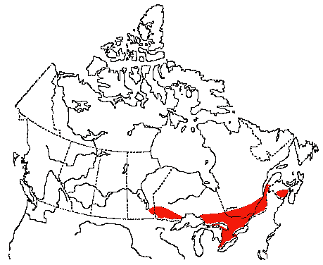 Map of Scarlet Tanager in Canada