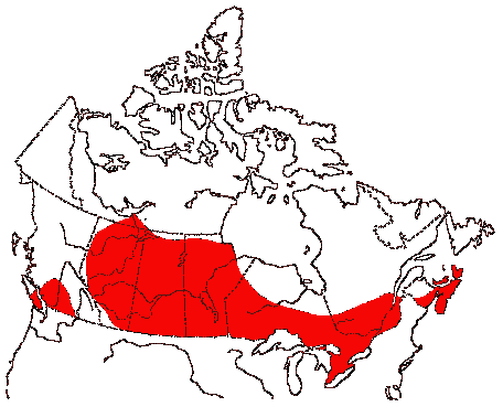 Map of Pied-billed Grebe in Canada