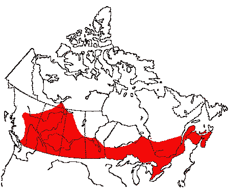 Map of Vesper Sparrow in Canada