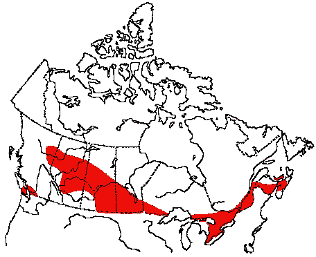Map of Purple Martin in Canada