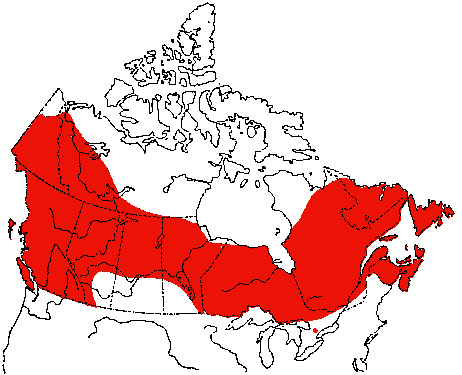 Map of Ruby-crowned Kinglet in Canada