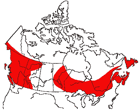 Map of Golden-crowned Kinglet in Canada