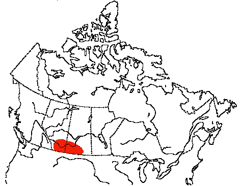 Map of McCown's Longspur in Canada