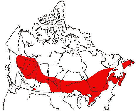 Map of Ovenbird in Canada