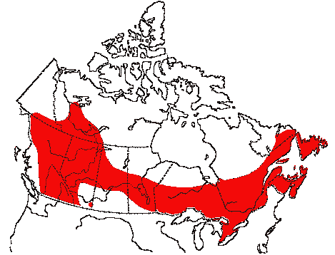 Map of American Redstart in Canada