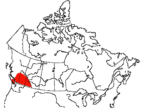 Map of Western Bluebird in Canada