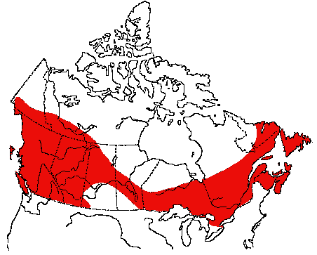 Map of Red-breasted Nuthatch in Canada