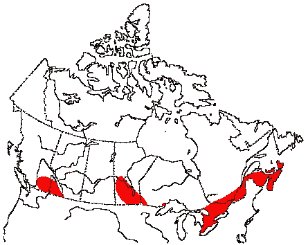Map of White-breasted Nuthatch in Canada