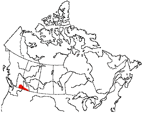 Map of Pygmy Nuthatch in Canada