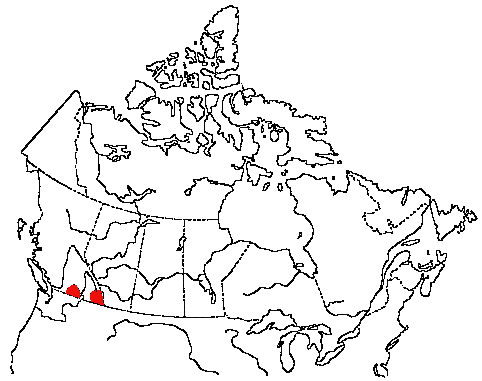 Map of Williamson's Sapsucker in Canada