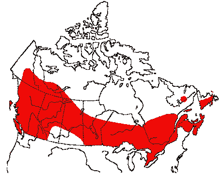 Map of Yellow-bellied Sapsucker in Canada
