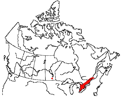 Map of Field Sparrow in Canada