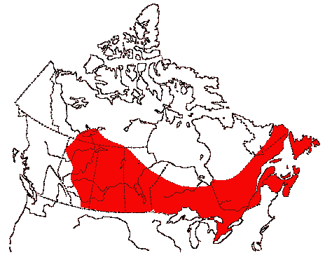 Map of Common Tern in Canada