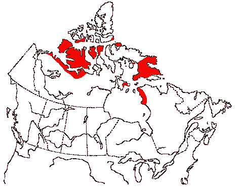 Map of Pomarine Jaeger in Canada