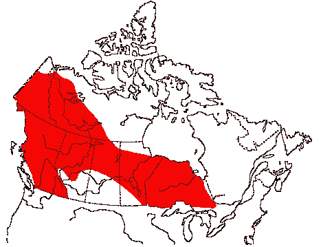 Map of Great Gray Owl in Canada