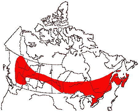 Map of Barred Owl in Canada