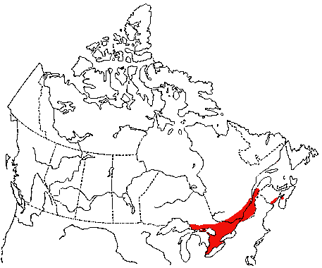 Map of Eastern Meadowlark in Canada