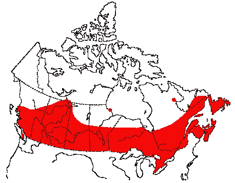 Map of European Starling in Canada