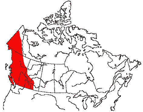 Map of Violet-green Swallow in Canada