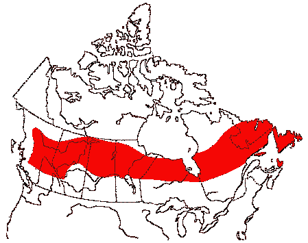 Map of Greater Yellowlegs in Canada