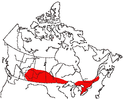 Map of Brown Thrasher in Canada