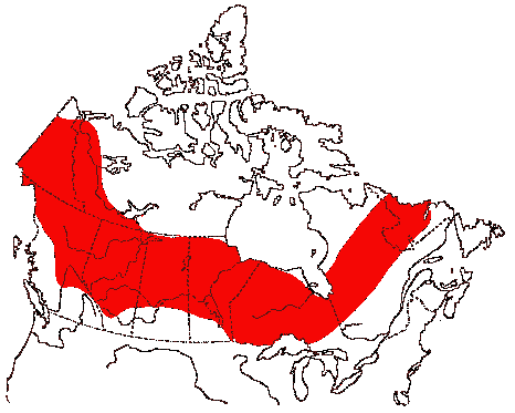 Map of Solitary Sandpiper in Canada