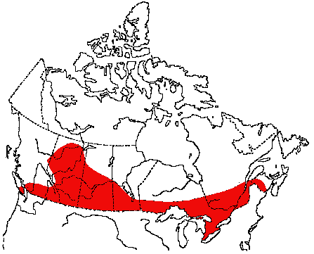 Map of House Wren in Canada