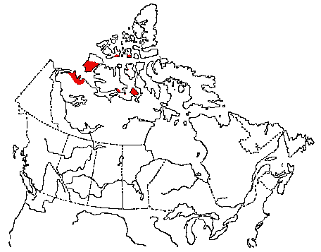 Map of Buff-Breasted Sandpiper in Canada