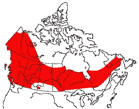 Map of Orange-crowned Warbler in Canada