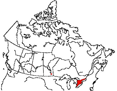 Map of Golden-winged Warbler in Canada
