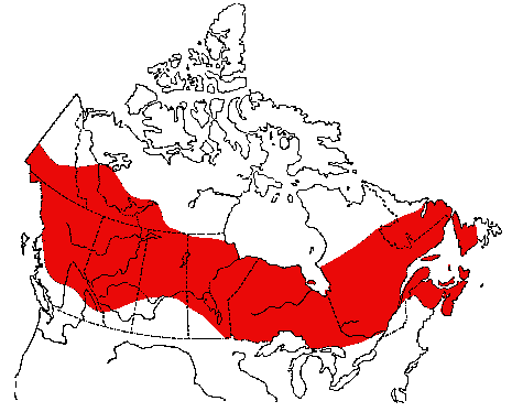 Map of Tennessee Warbler in Canada