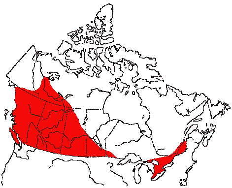Map of Warbling Vireo in Canada