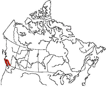 Map of Hutton's Vireo in Canada