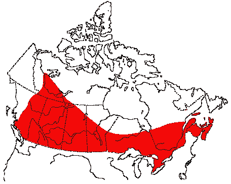 Map of Red-eyed Vireo in Canada